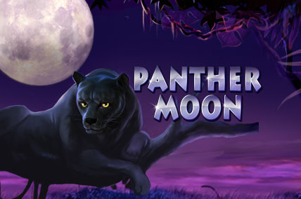 รีวิวเกมค่าย Joker : Panther Moon เสือดำพระจันทร์