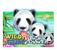 รีวิวเกมค่าย Joker : Wild Giant Panda แพนด้ายักษ์ในป่าใหญ่