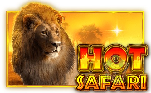 รีวิวเกมสล็อต PP : Hot Safari ซาฟารีร้อนระอุ