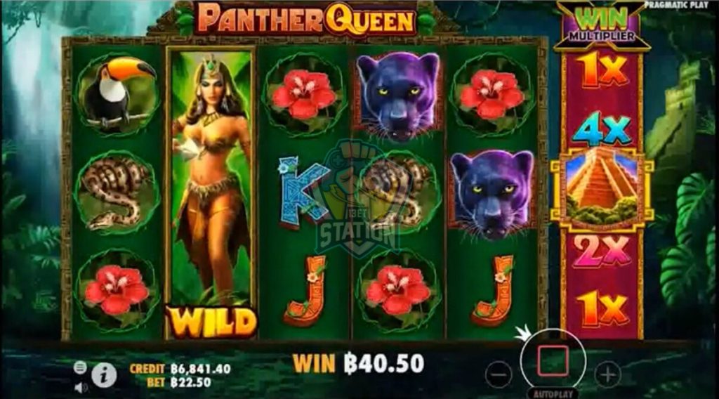 รีวิวเกมสล็อต PP : Panther Queen ราชินีเสือดำ